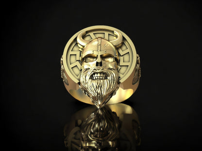 Silver Viking Signet Ring, Gothic Men Ring, Viking Skull Ring, Gold Plated Punk Ring, Viking Jewelry Men, Ancient Ring, Scandinavian Ring